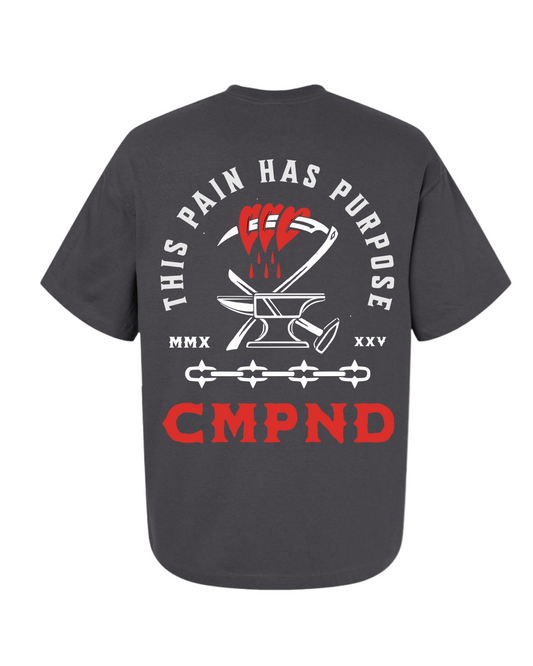 Pain Has Purpose Tee